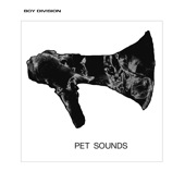 Boy Division - Pet Sounds